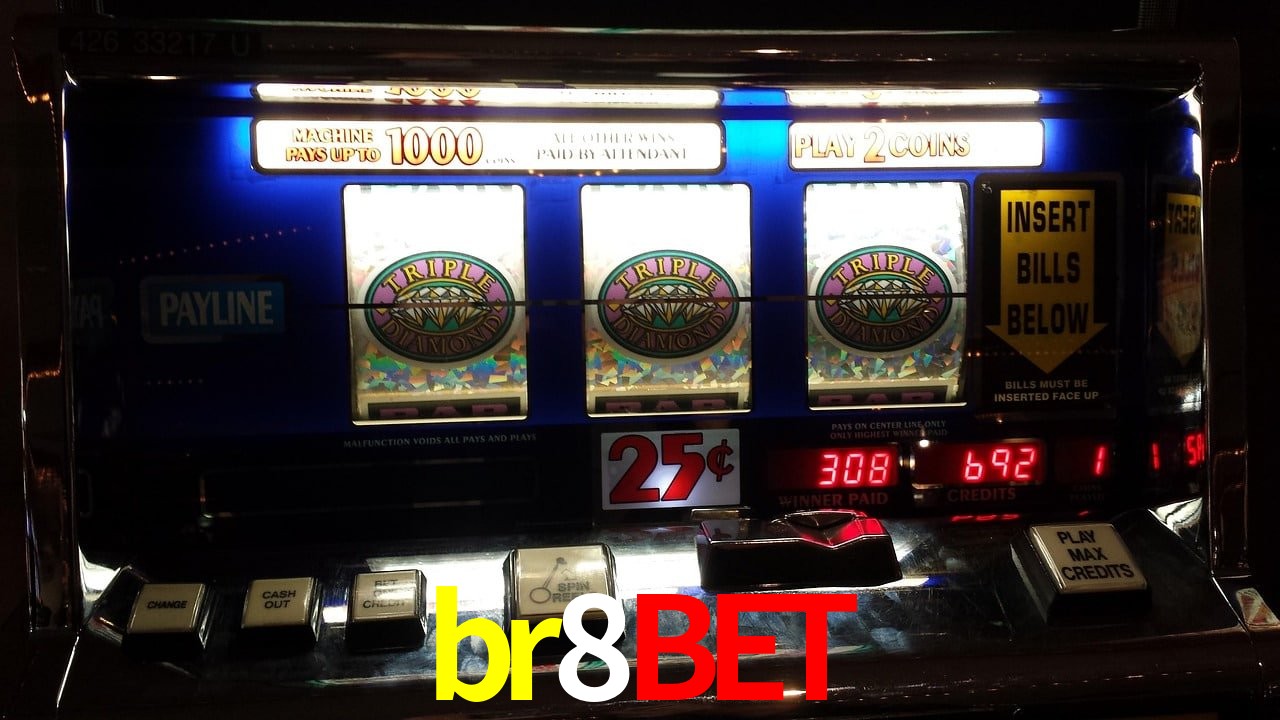 VIP Casino br8bet